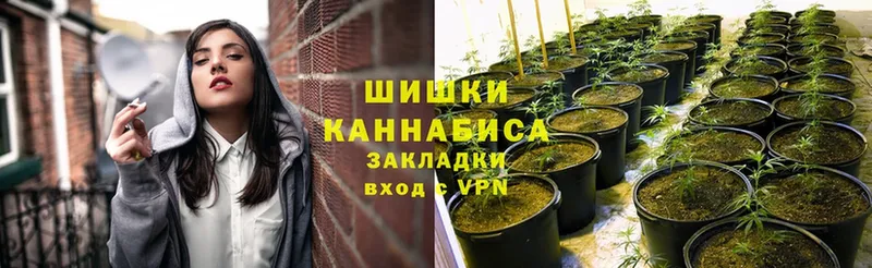 Бошки Шишки SATIVA & INDICA  Новороссийск 